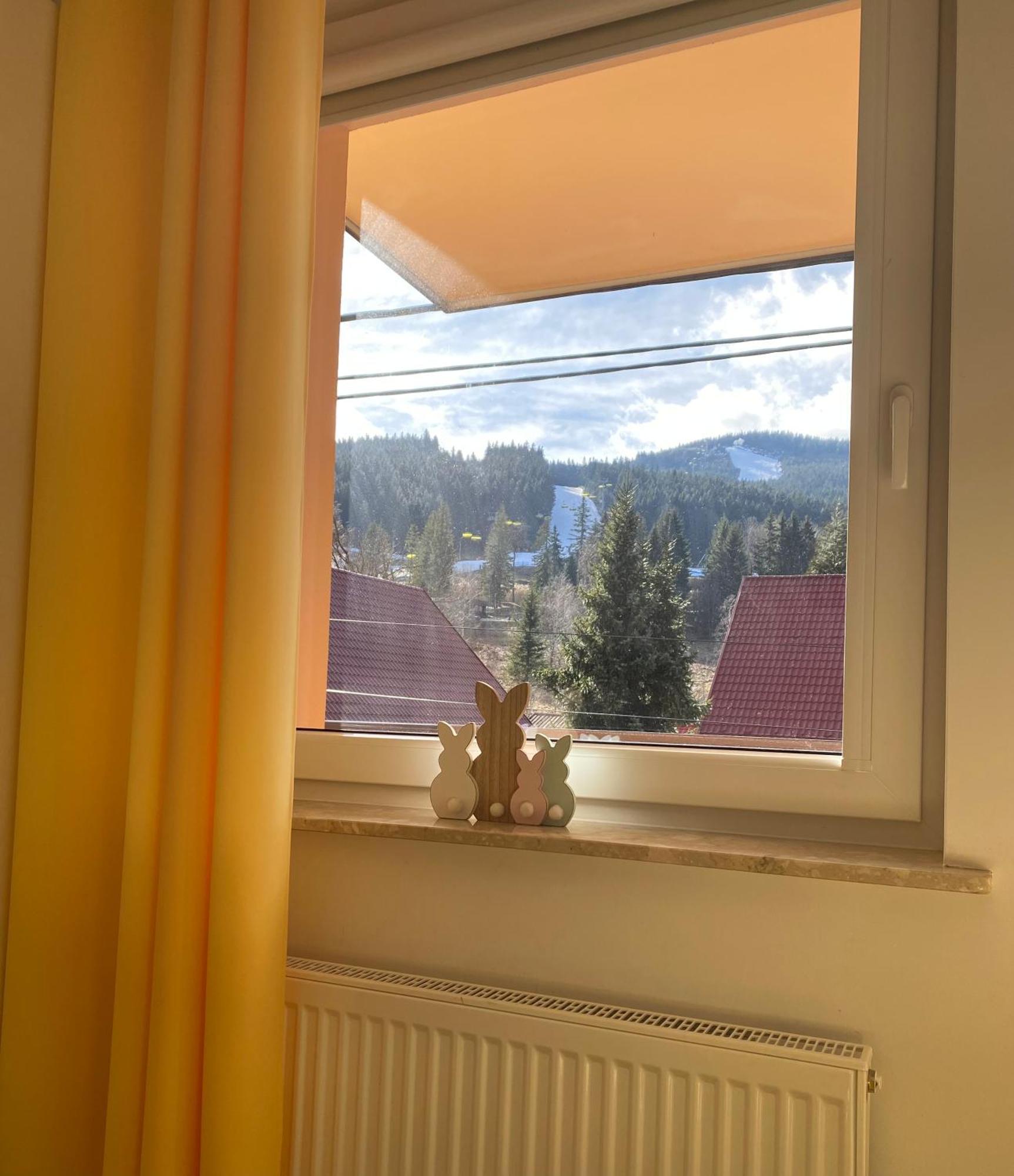 Apartamenty Pod Rudka Czarna Gora Agroturystyka Sienna  Exteriér fotografie